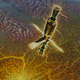 Illustration for article titled The First Spacewalker Created The Best Soviet Cosmic Landscapes